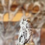 Instagram Profile photo of Empty Feather