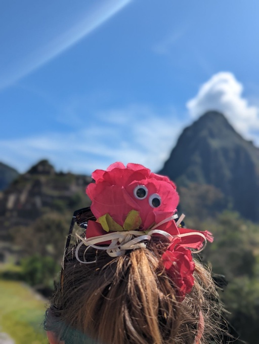 Photo of pink flower with googly eyes